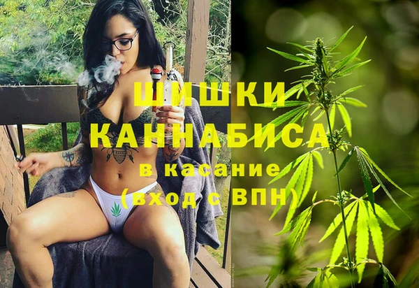mdpv Белокуриха