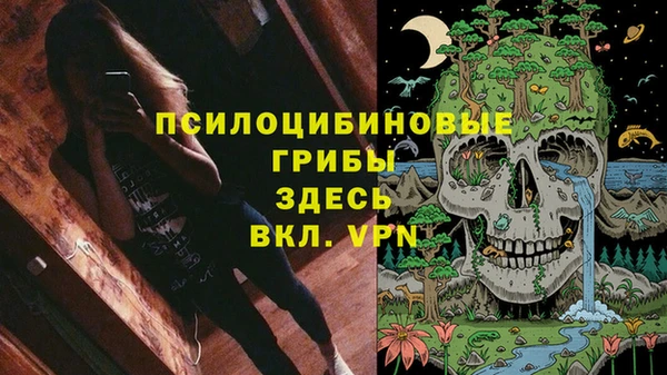 mdpv Белокуриха