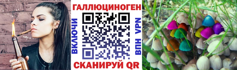 Псилоцибиновые грибы Cubensis omg ссылки Вяземский